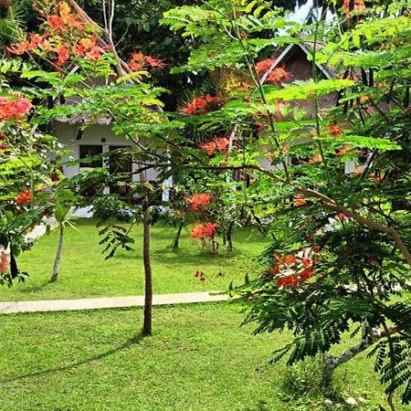 Namaste Bungalows Sakti 외부 사진